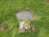 image of grave number 788817